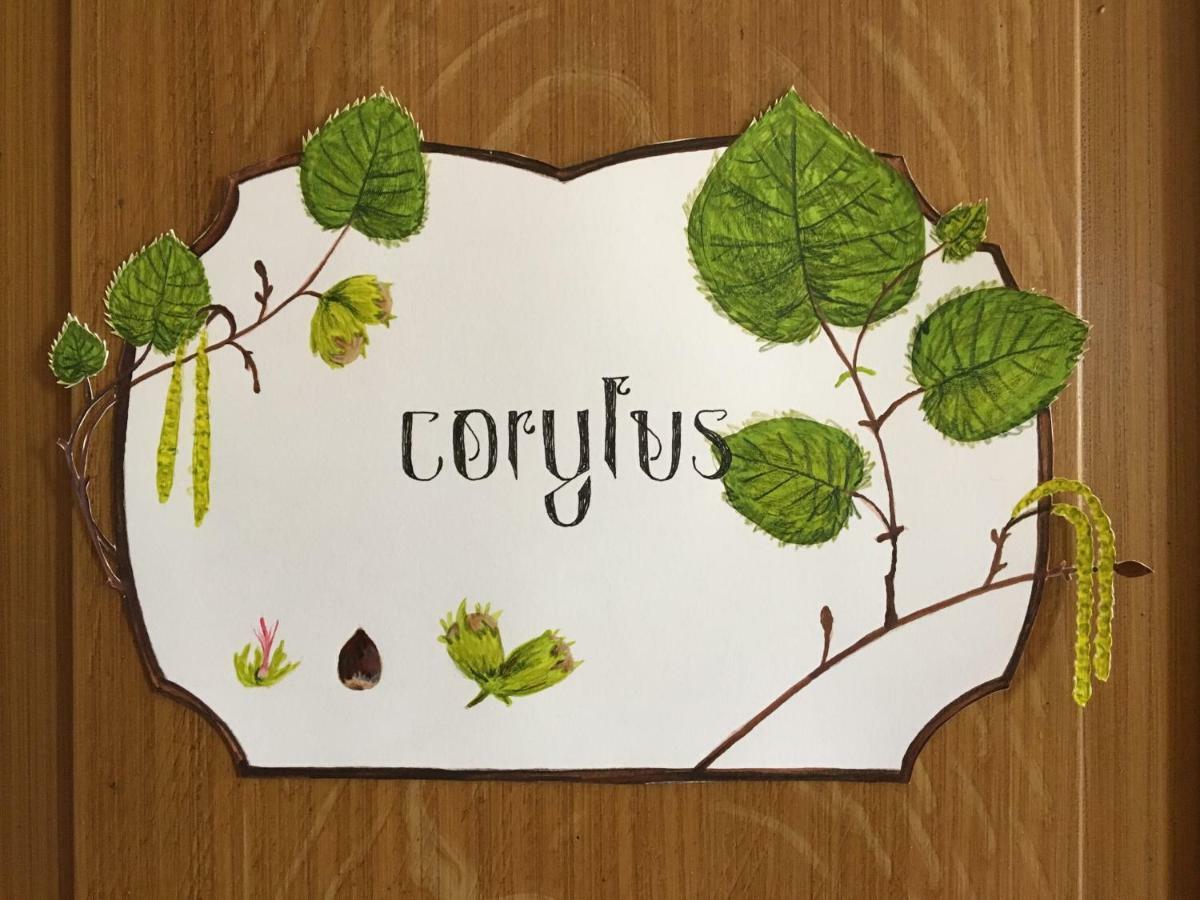 Le Clos Des Fayettes Theize Exterior photo